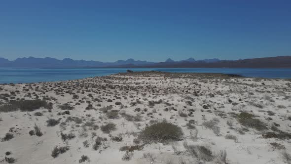 Island with Arid Sandy Terrain and Dry Vegetation