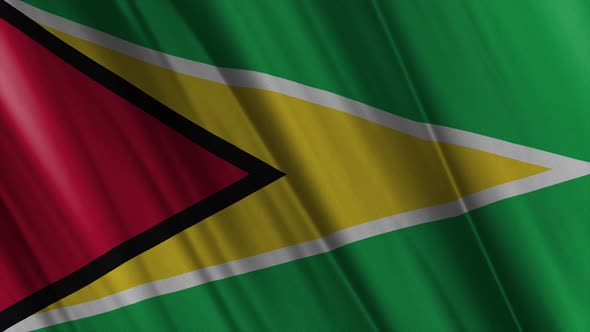 Guyana Flag alt
