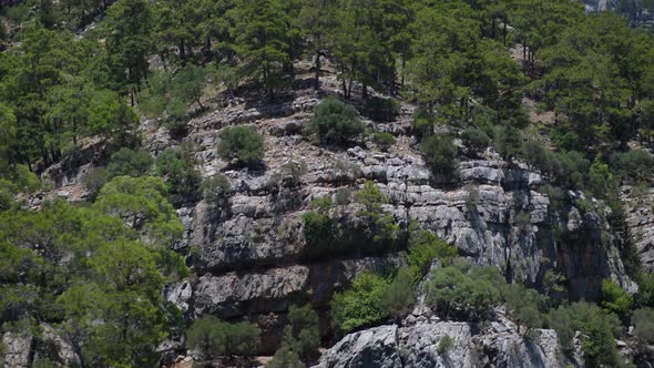 Panorama of Mountain Rocks