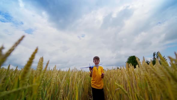 Little boy walks in wheat field alt
