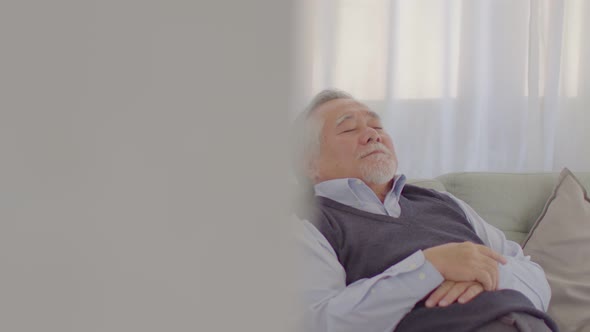 Asian senior handsome business man close eyes resting take a nap on sofa in cozy living room at home alt