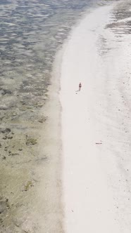 Tanzania  Vertical Video of a Coastal Landscape in Zanzibar Slow Motion alt