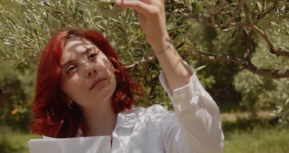 Woman agronomist does the quality control of olive tree alt