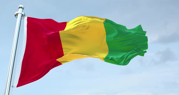 Guinea Flag Waving  Loop  4 K alt