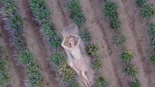 Aerial Cinematic Drone View of Woman Lyingin Colorful Lavender Fields on a Sunny Day Blooming Purple alt