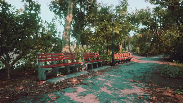 Empty Benches at Public Park During Curfew Cause of Corona Virus Quarantine alt