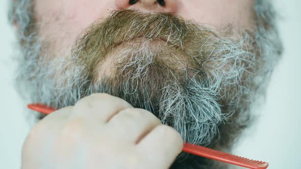 The man combs his beard. A middle-aged man combs his large, unkempt gray brown beard with a comb.