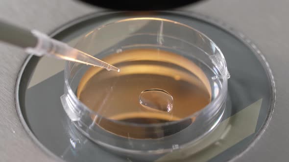 Embryologist Placing Cryoprotectant in Petri Dish alt