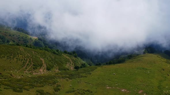 Forest, mountains and clouds