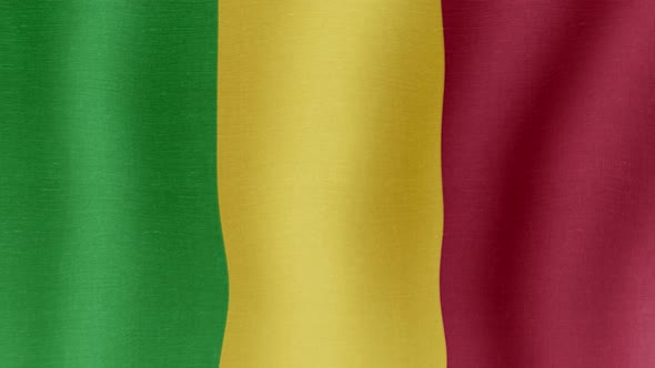 The National Flag of Mali