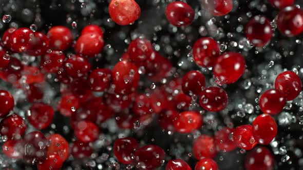 Super Slow Motion Shot of Cranberries and Water Explosion Towards Camera at 1000Fps alt