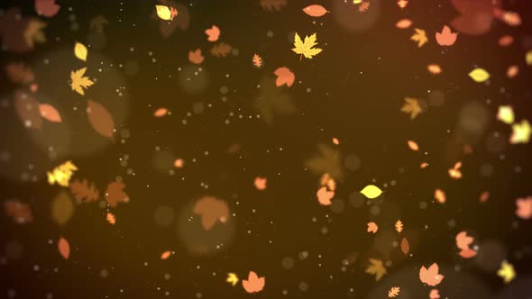 Autumn Light Background