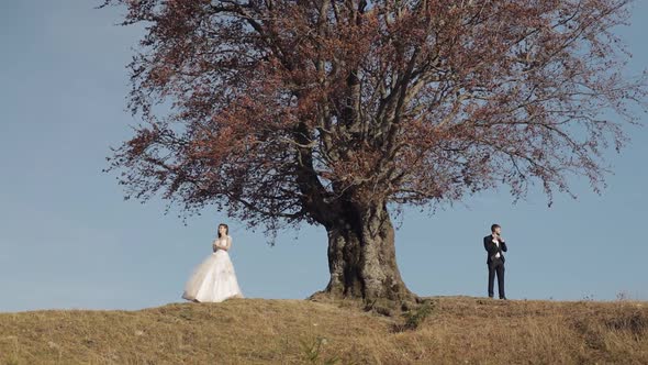 Newlyweds. Caucasian Groom with Bride Near Beautiful Autumn Tree. Wedding Couple alt