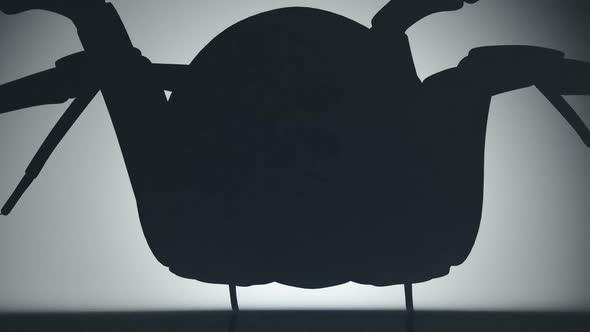 Animation of a scary venomous spider silhouette watching his shadow on the wall. alt