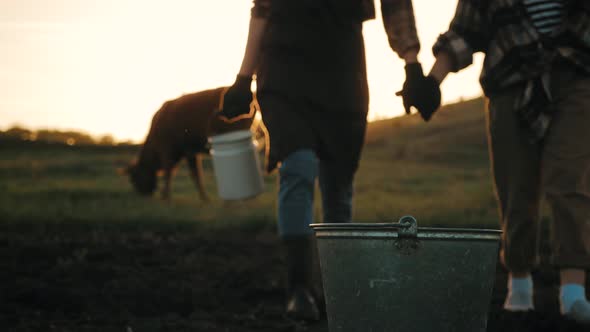 Fresh Milk Concept alt