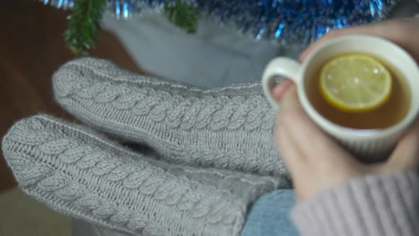 Hold a Tea Cup on December Night alt