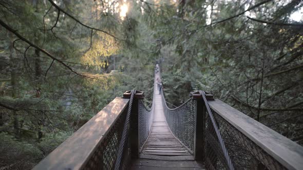Metal ropes of suspension bridge in Lynn Valley alt