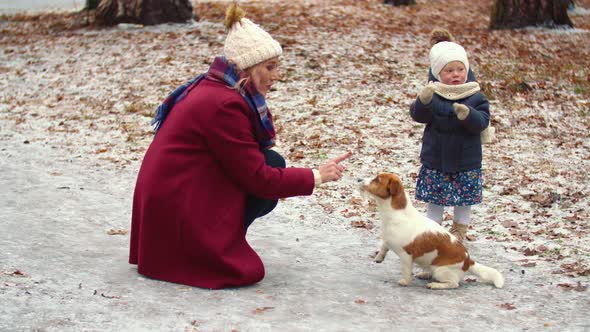 Mom with Daughter and Dog in the Park, Stock Footage | VideoHive