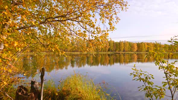 Finnish Autumn Ruska. Crane Shot of Landscape with Golden Autumn Trees and Lake alt