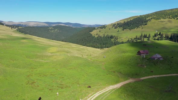 Aerial View of Alpine Landscape in the Rodnei Mountains, Carpathians, Romania alt
