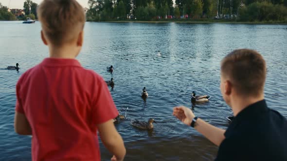 Father and Son Feeding Ducks alt