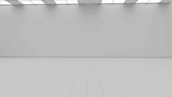 Blank white gallery background mock up isolated, cyclical camera rotation alt