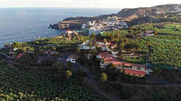 Icod De Los Vinos, Tenerife, Canary Islands, Spain, Flying Over Banana Plantations, Bananas Growing alt