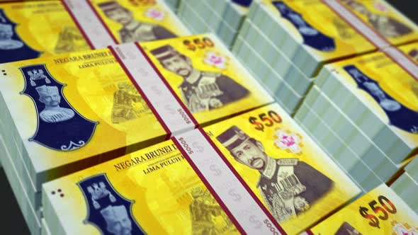 Brunei dollar money banknotes pack seamless loop alt