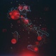 Mapping Epidemic Outbreak in Italy 4K - VideoHive Item for Sale