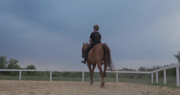 Rider Rides His Horse at Sunset . Woman Rider Learns To Ride a Horse in the Evening on a Blue Sky alt