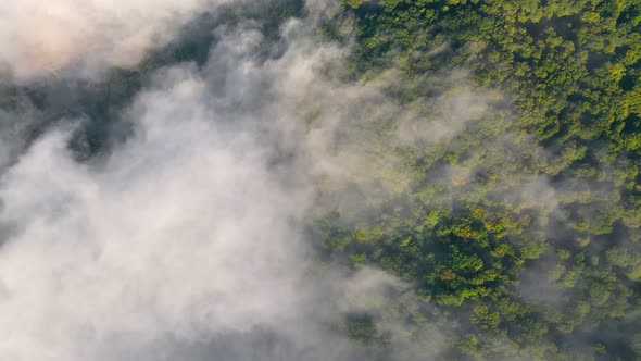 Morning Fabulous Fog That Covers the Mountains. Aerial Top View of Green Trees Covered with Thick alt