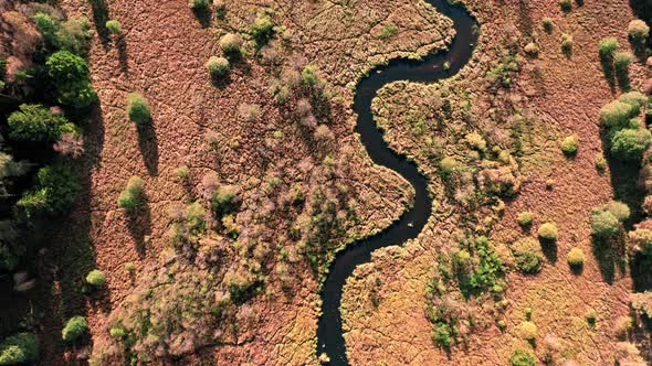 Top view of winding river and brown swamps at sunset alt