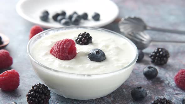 Close Up of Fresh Yogurt with Blue Berry in a Bowl alt