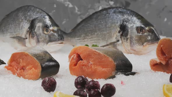 Fish Showcase in the Market alt