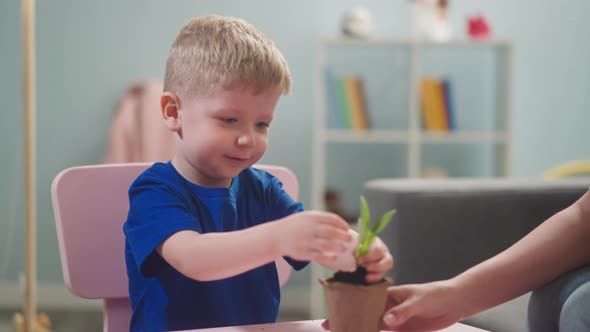 Little Child Transplants Sprout Into Pot with Earth alt