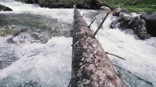Mountain River with Rocks in Wood Slow Motion Footage Dolomites South Tyrol Italy alt