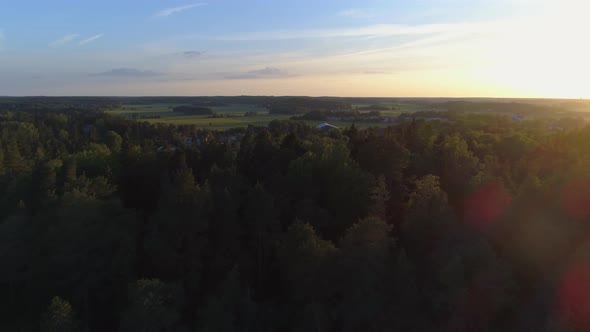 Aerial View of Forest Landscape at Sunset