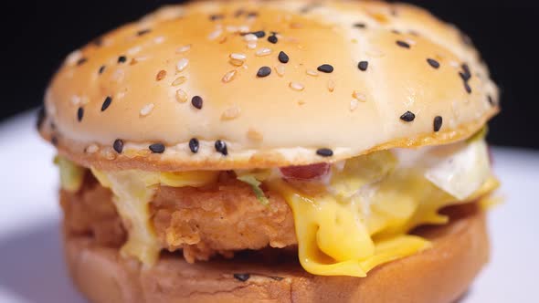 Delicious Burger Rotation Close Up