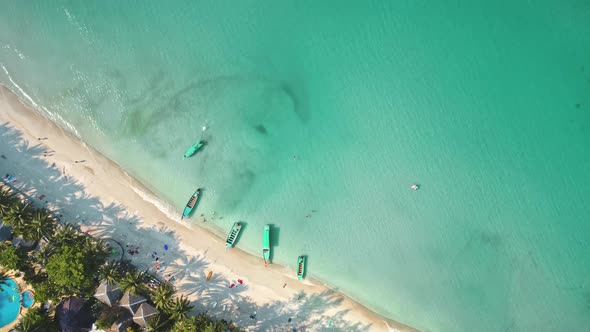 Aerial Shadow From Palm Trees on Beach By Sea alt