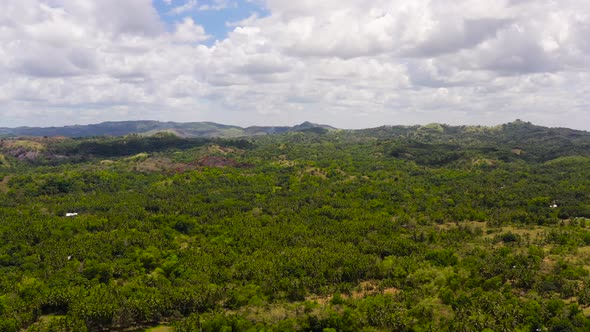 Mountain Covered with Rainforest and Clouds alt