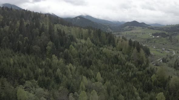 Landscape of the Carpathian Mountains. Slow Motion. Ukraine. Aerial. Gray, Flat alt