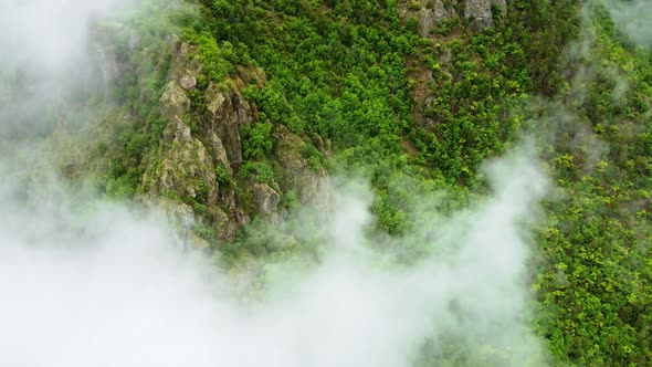 Aerial View Over the Mountain Green Forest Covered in Fog Outdoor Summer Travel Concept Untouched alt
