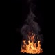 Fire Separate 4 Clip Loop 4K - VideoHive Item for Sale
