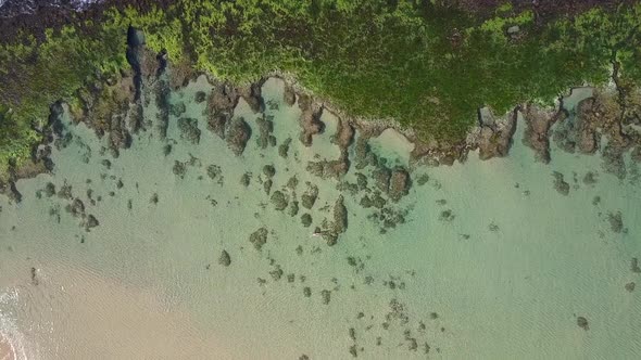 Picturesque Sandy Coastline with Green Palms and Grey Rocks alt
