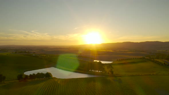 Slow decent over vast sunset vineyard landscape scene in Yarra Valley, Victoria, Australia. alt