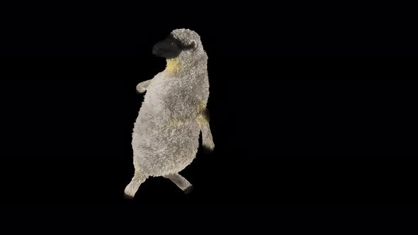 08 Sheep Dancing 4K alt