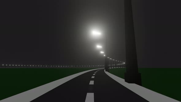 Driving on Road at Night in Dark
