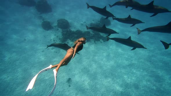 Beautiful Young Woman Swimming Underwater with Dolphins in Pristine Blue Ocean Water Amazing alt
