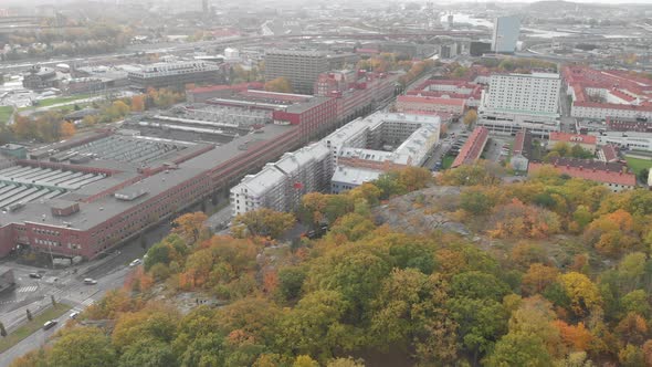 Hill with Fall Foliage and Urban Cityscape Aerial alt