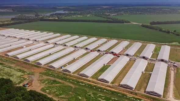 Aerial view over the poultry farms. Agriculture industry in countryside from above alt